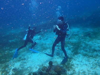 セブ・マクタン、ダイビング