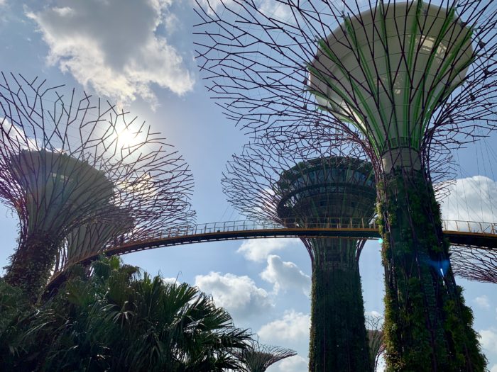 ガーデンズバイザベイ