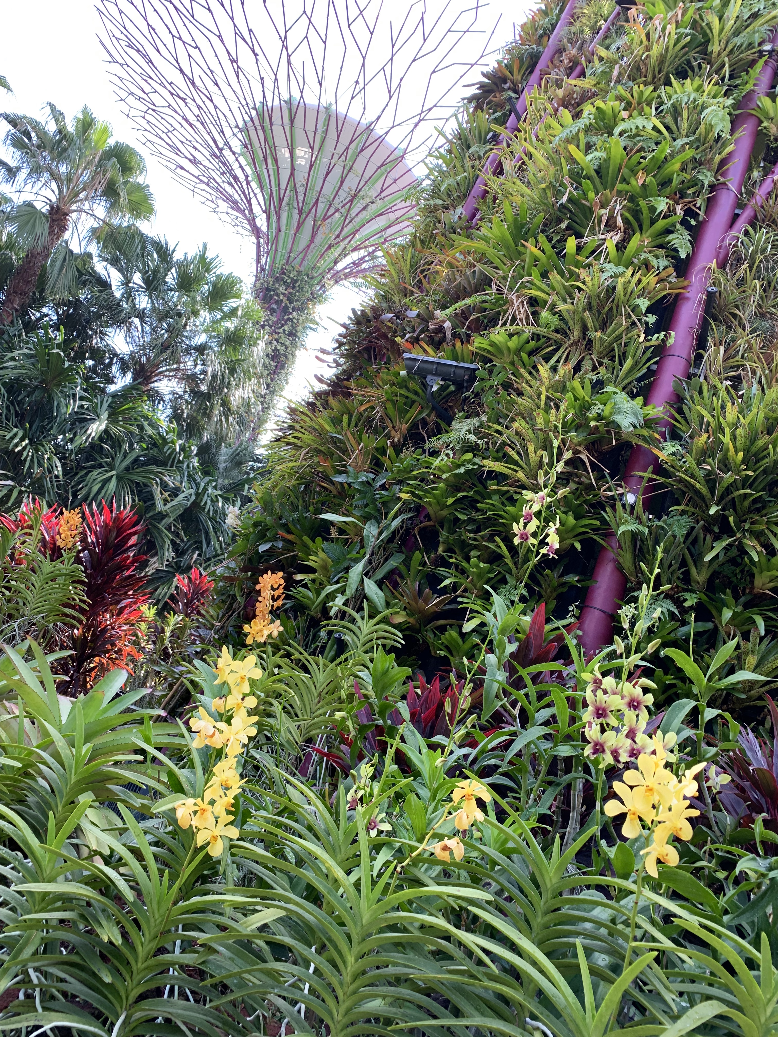 ガーデンズバイザベイ