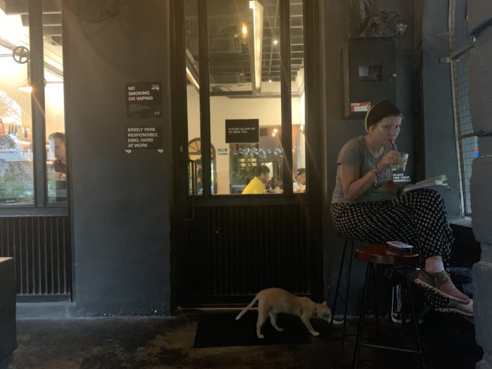 カフェ　猫　伸び