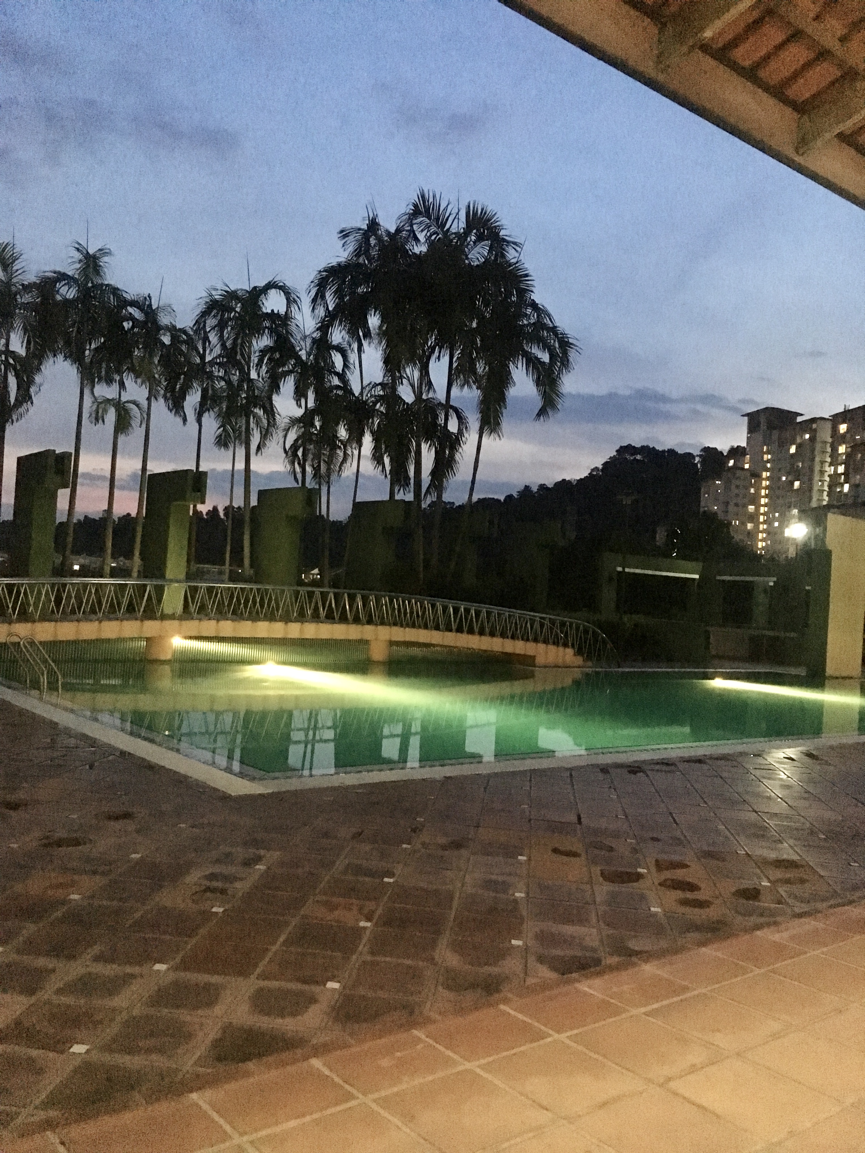 スタンダードタワー プール