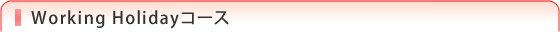 Working Holidayコース