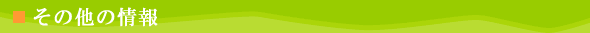 その他の情報