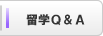留学Q&A
